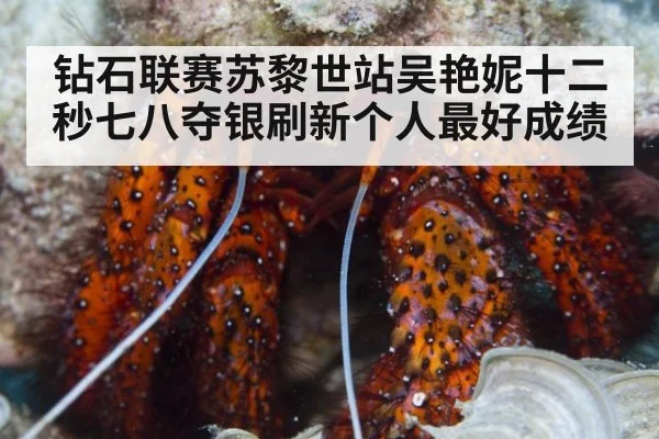 钻石联赛苏黎世站吴艳妮十二秒七八夺银刷新个人最好成绩