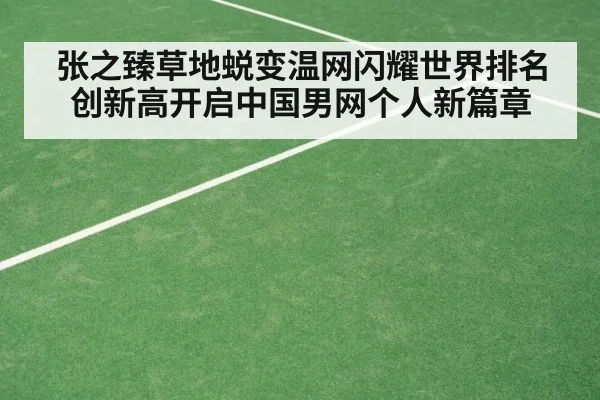 张之臻草地蜕变温网闪耀世界排名创新高开启中国男网个人新篇章