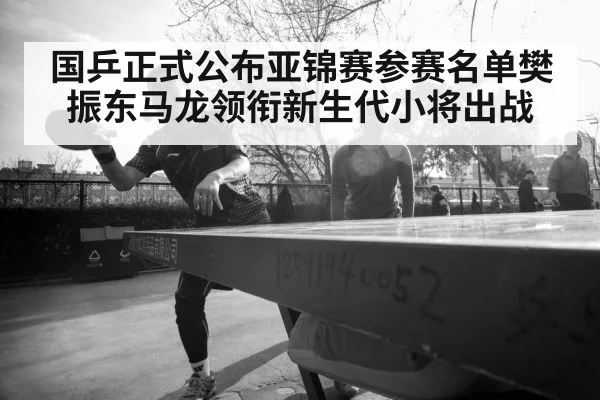 Chinese table tennis team